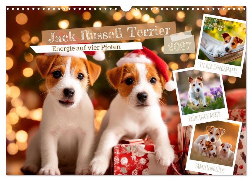 Jack Russell Terrier - Energie auf vier Pfoten (Wandkalender 2027 DIN A3 quer) CALVENDO Monatskalender