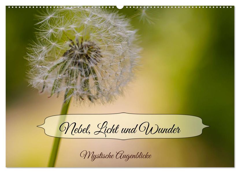 Nebel Licht und Wunder (Wandkalender 2027 DIN A2 quer) CALVENDO Monatskalender