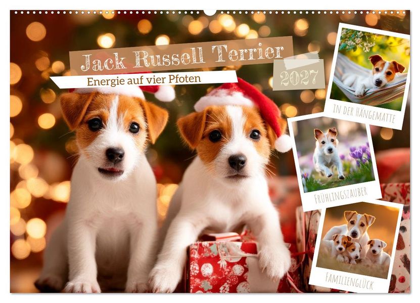 Jack Russell Terrier - Energie auf vier Pfoten (Wandkalender 2027 DIN A2 quer) CALVENDO Monatskalender
