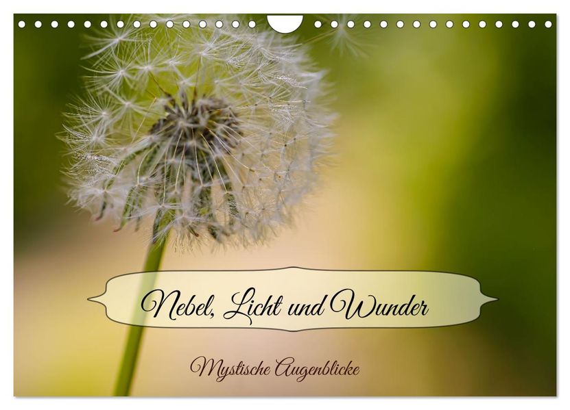 Nebel Licht und Wunder (Wandkalender 2027 DIN A4 quer) CALVENDO Monatskalender