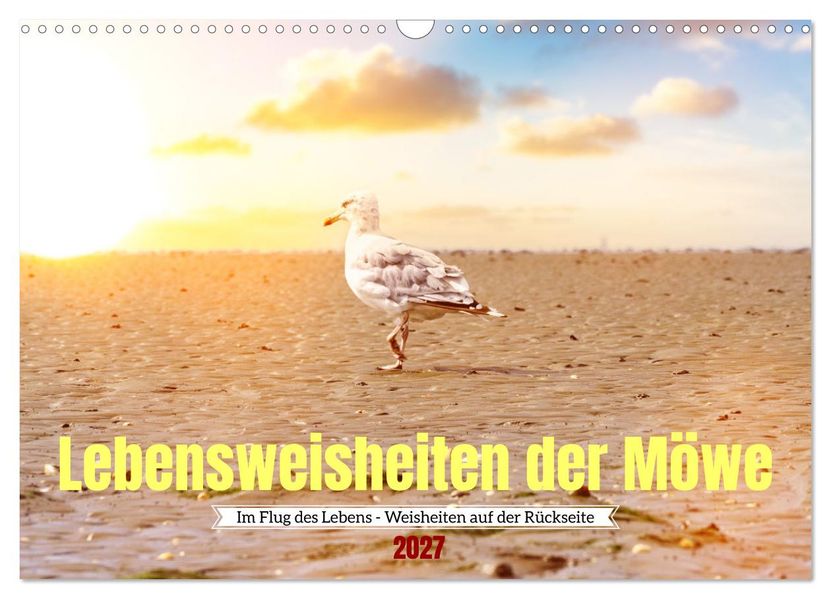 Lebensweisheiten der Möwe - Im Flug des Lebens (Wandkalender 2027 DIN A3 quer) CALVENDO Monatskalender