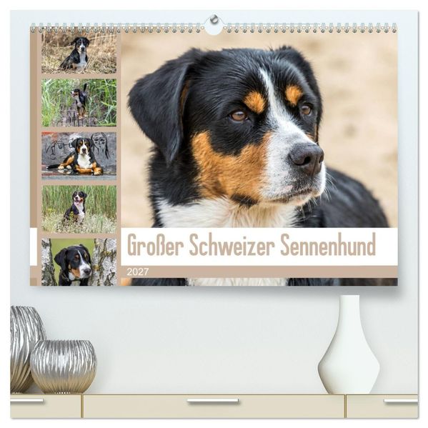 Großer Schweizer Sennenhund (hochwertiger Premium Wandkalender 2027 DIN A2 quer) Kunstdruck in Hochglanz