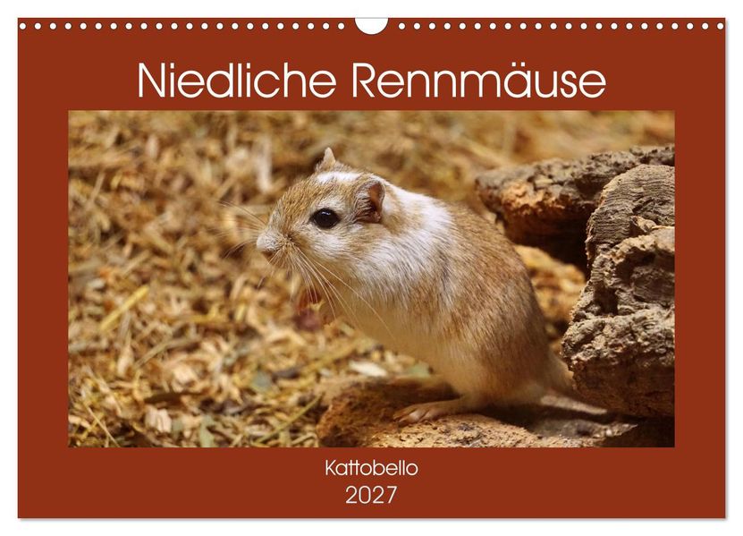 Niedliche Rennmäuse (Wandkalender 2027 DIN A3 quer) CALVENDO Monatskalender