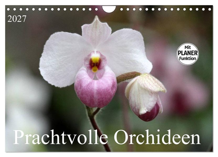 Prachtvolle Orchideen (Wandkalender 2027 DIN A4 quer) CALVENDO Monatskalender