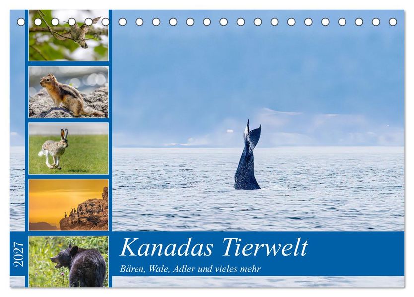 Kanadas Tierwelt - Bären Wale und vieles mehr (Tischkalender 2027 DIN A5 quer) CALVENDO Monatskalender