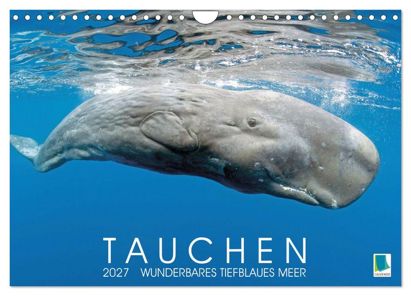 Tauchen: Wunderbares tiefblaues Meer (Wandkalender 2027 DIN A4 quer) CALVENDO Monatskalender