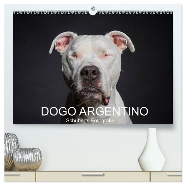 DOGO ARGENTINO (hochwertiger Premium Wandkalender 2027 DIN A2 quer) Kunstdruck in Hochglanz