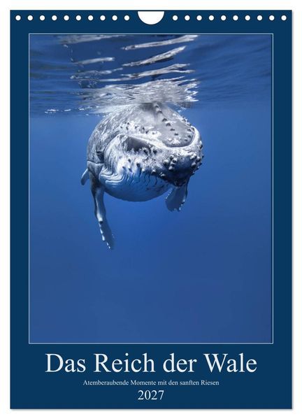 Im Reich der Wale (Wandkalender 2027 DIN A4 hoch) CALVENDO Monatskalender