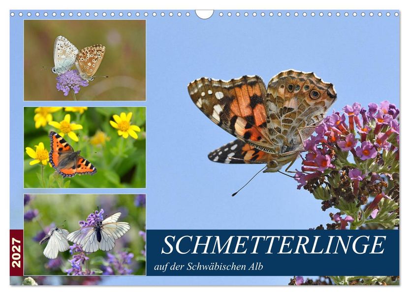 Schmetterlinge auf der Schwäbischen Alb (Wandkalender 2027 DIN A3 quer) CALVENDO Monatskalender