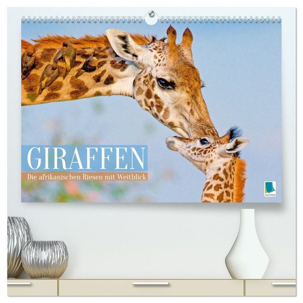 Giraffen: Die afrikanischen Riesen mit Weitblick (hochwertiger Premium Wandkalender 2027 DIN A2 quer) Kunstdruck in Hochglanz
