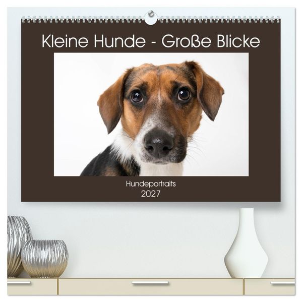 Kleine Hunde - Große Blicke (hochwertiger Premium Wandkalender 2027 DIN A2 quer) Kunstdruck in Hochglanz