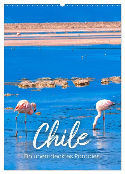 Chile - Ein unentdecktes Paradies. (Wandkalender 2027 DIN A2 hoch) CALVENDO Monatskalender