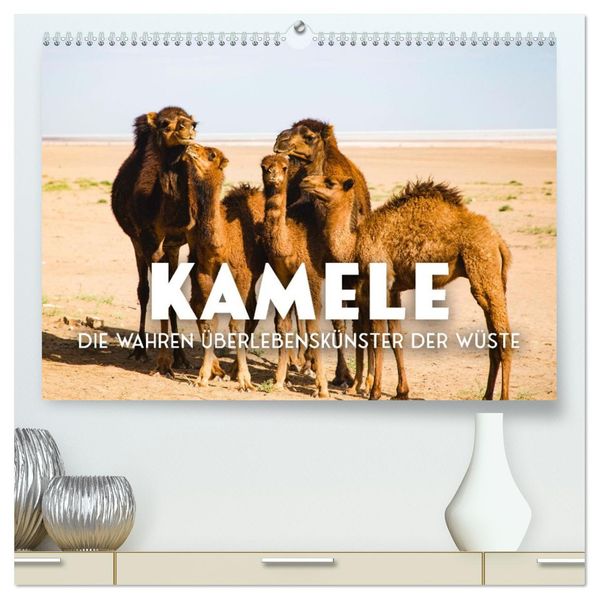 Kamele - die wahren Überlebenskünstler der Wüste. (hochwertiger Premium Wandkalender 2027 DIN A2 quer) Kunstdruck in Hochglanz