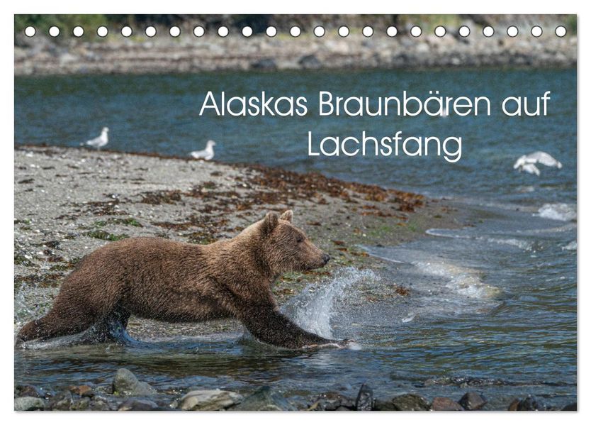 Grizzlybären im Katmai Nationalpark Alaska (Tischkalender 2027 DIN A5 quer) CALVENDO Monatskalender