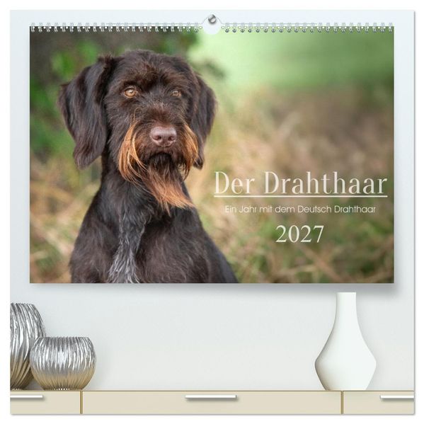 Der Drahthaar (hochwertiger Premium Wandkalender 2027 DIN A2 quer) Kunstdruck in Hochglanz