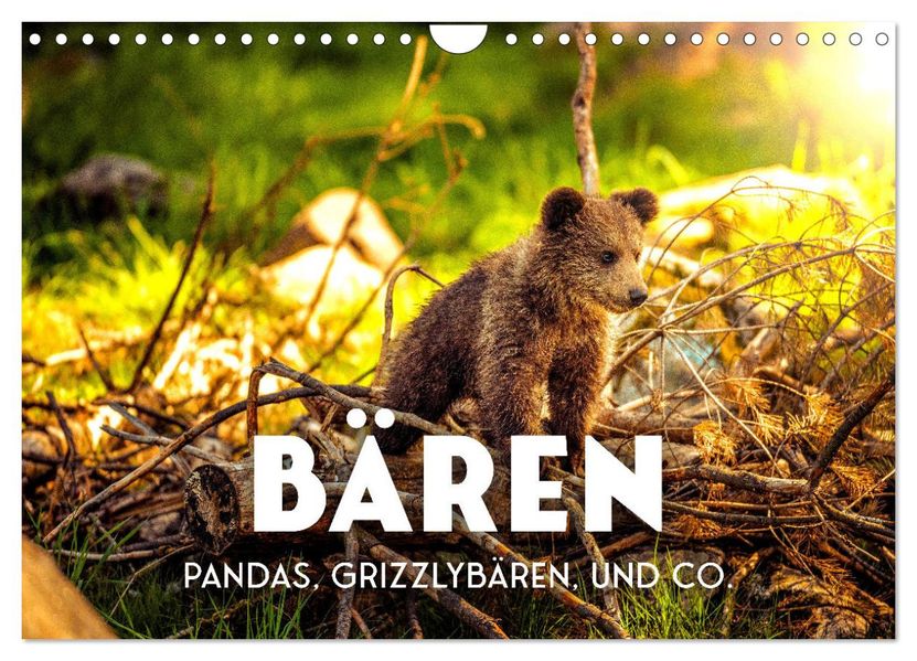 Bären - Pandas Grizzlybären und Co. (Wandkalender 2027 DIN A4 quer) CALVENDO Monatskalender