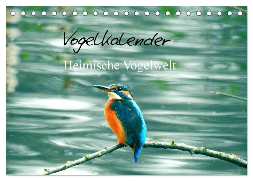 Vogelkalender (Tischkalender 2027 DIN A5 quer) CALVENDO Monatskalender