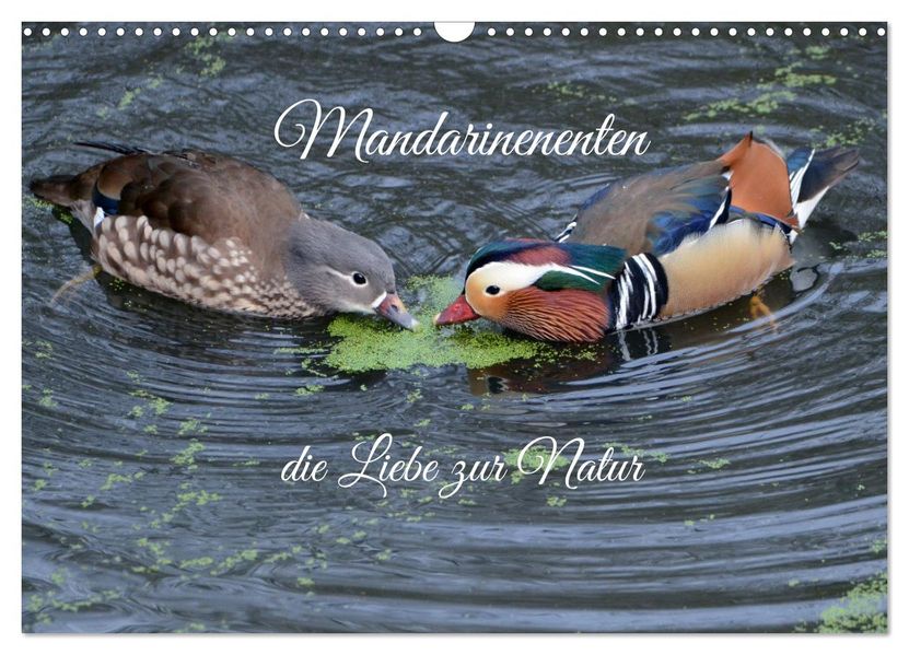 Mandarinenenten die Liebe zur Natur (Wandkalender 2027 DIN A3 quer) CALVENDO Monatskalender
