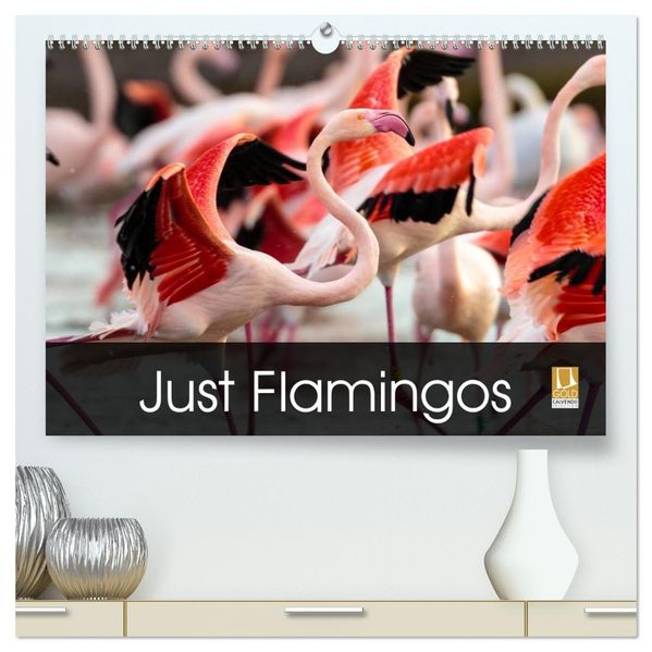 Just Flamingos (High Quality Premium Wall Calendar 2027 DIN A2 landscape)CALVENDO 12 Month Wall Calendar