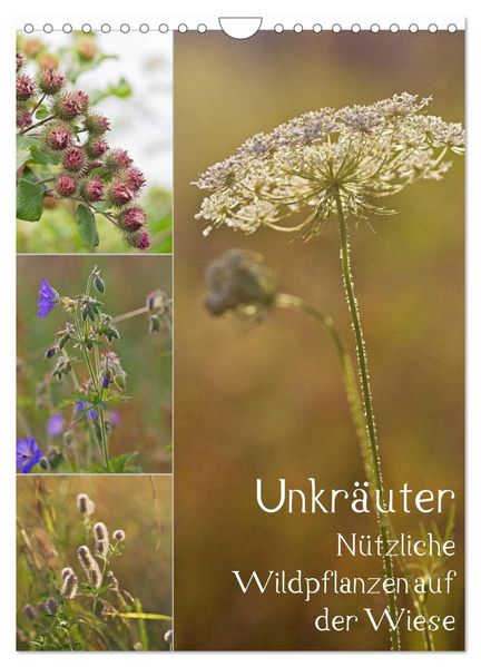 Unkräuter - Nützliche Wildpflanzen auf der Wiese (Wandkalender 2027 DIN A4 hoch) CALVENDO Monatskalender