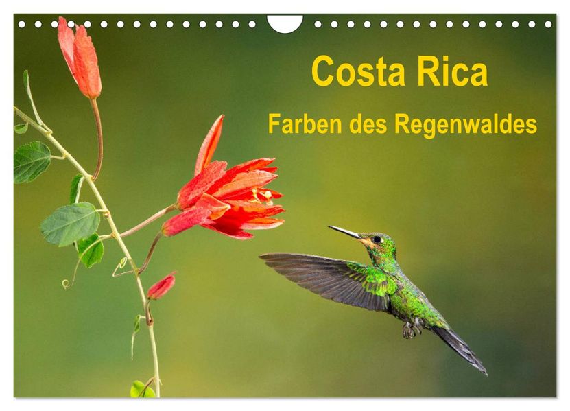 Costa Rica - Farben des Regenwaldes (Wandkalender 2027 DIN A4 quer) CALVENDO Monatskalender