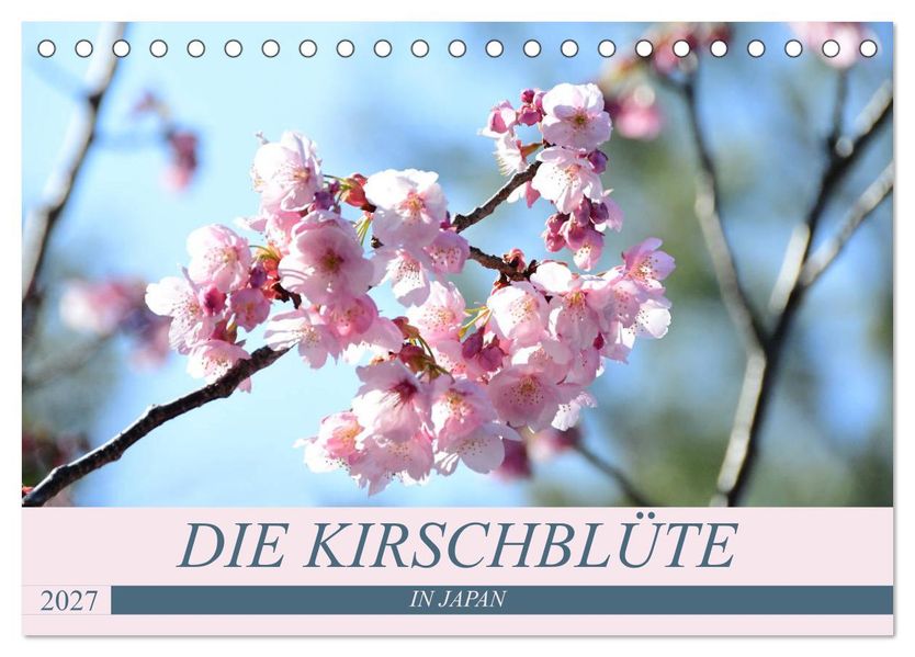Die Kirschblüte in Japan (Tischkalender 2027 DIN A5 quer) CALVENDO Monatskalender