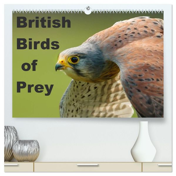 British Birds of Prey (High Quality Premium Wall Calendar 2027 DIN A2 landscape)CALVENDO 12 Month Wall Calendar