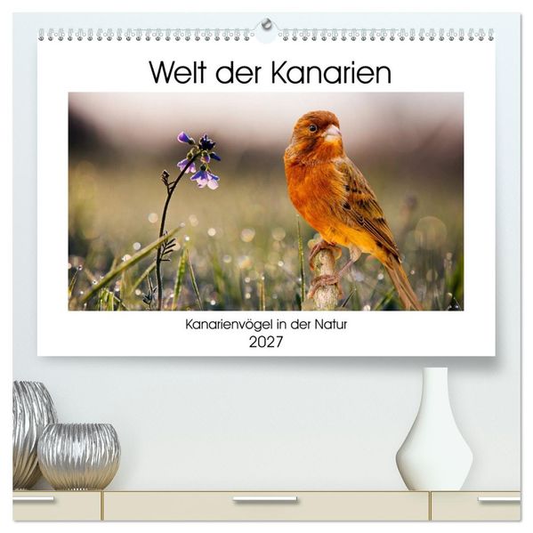 Welt der Kanarien (hochwertiger Premium Wandkalender 2027 DIN A2 quer) Kunstdruck in Hochglanz