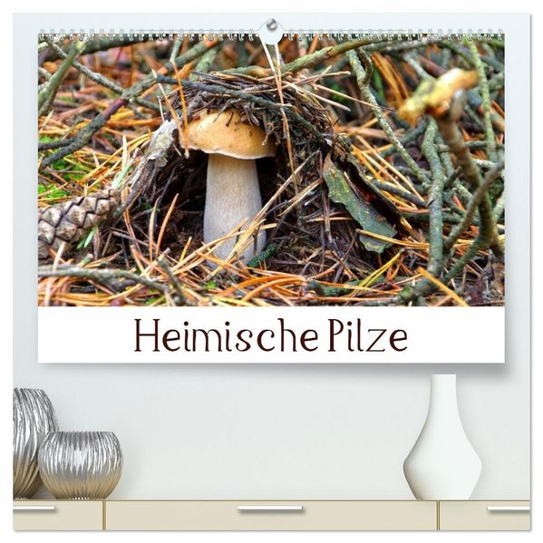 Heimische Pilze (hochwertiger Premium Wandkalender 2027 DIN A2 quer) Kunstdruck in Hochglanz
