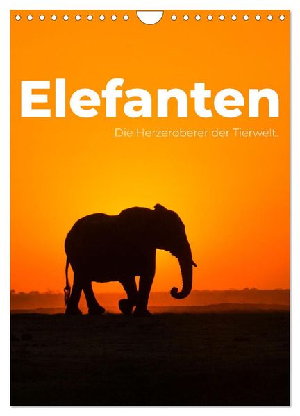 Elefanten - Die Herzeroberer der Tierwelt. (Wandkalender 2027 DIN A4 hoch) CALVENDO Monatskalender