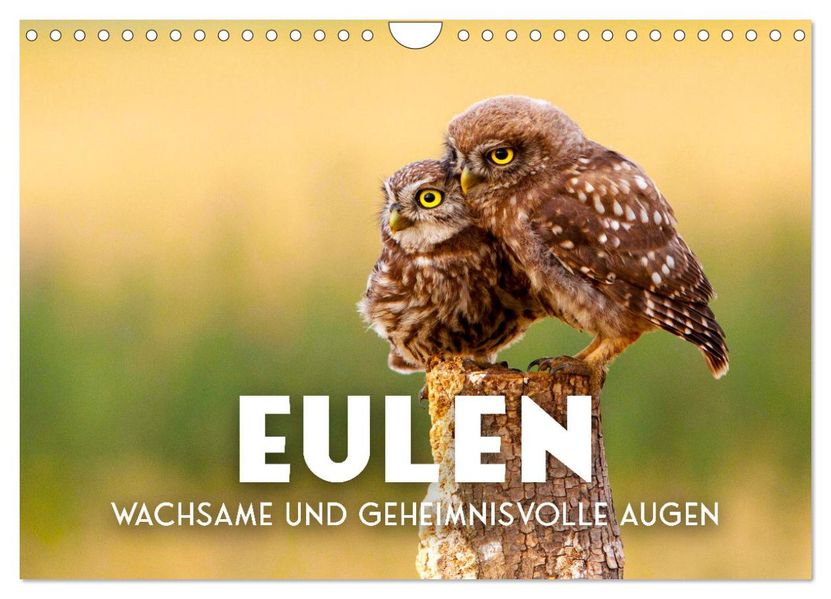 Eulen - Wachsame und geheimnisvolle Augen (Wandkalender 2027 DIN A4 quer) CALVENDO Monatskalender