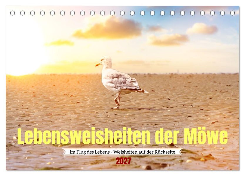 Lebensweisheiten der Möwe - Im Flug des Lebens (Tischkalender 2027 DIN A5 quer) CALVENDO Monatskalender