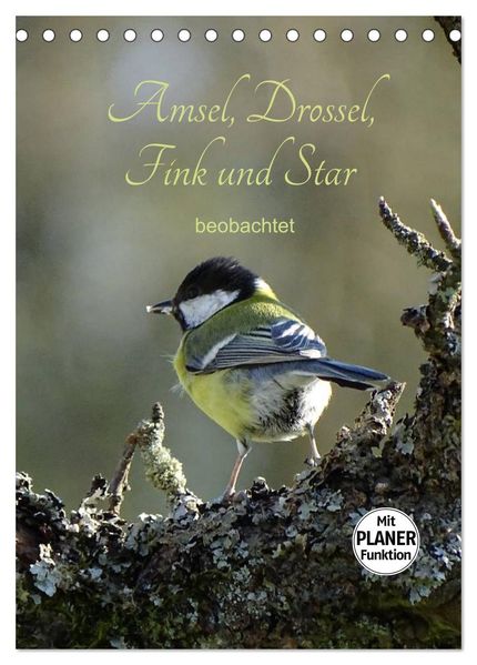 Amsel Drossel Fink und Star - beobachtet (Tischkalender 2027 DIN A5 hoch) CALVENDO Monatskalender
