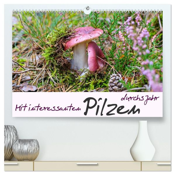 Mit interessanten Pilzen durchs Jahr (hochwertiger Premium Wandkalender 2027 DIN A2 quer) Kunstdruck in Hochglanz