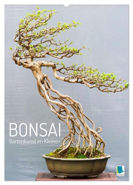 Bonsai: Gartenkunst im Kleinen (Wandkalender 2027 DIN A2 hoch) CALVENDO Monatskalender