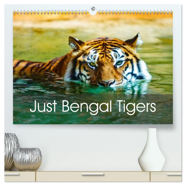 Just Bengal Tigers (High Quality Premium Wall Calendar 2027 DIN A2 landscape)CALVENDO 12 Month Wall Calendar