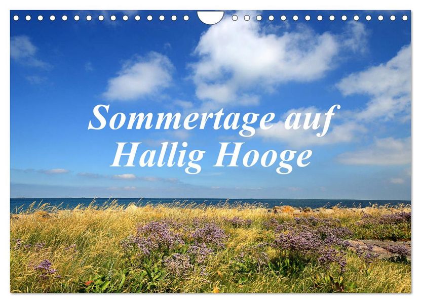 Sommertage auf Hallig Hooge (Wandkalender 2027 DIN A4 quer) CALVENDO Monatskalender