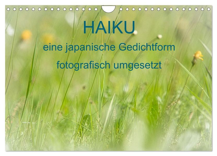 HAIKU eine fotografische Interpretation (Wandkalender 2027 DIN A4 quer) CALVENDO Monatskalender