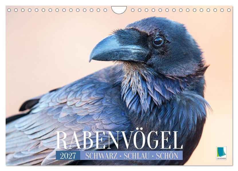 Rabenvögel: Schwarz schlau schön (Wandkalender 2027 DIN A4 quer) CALVENDO Monatskalender