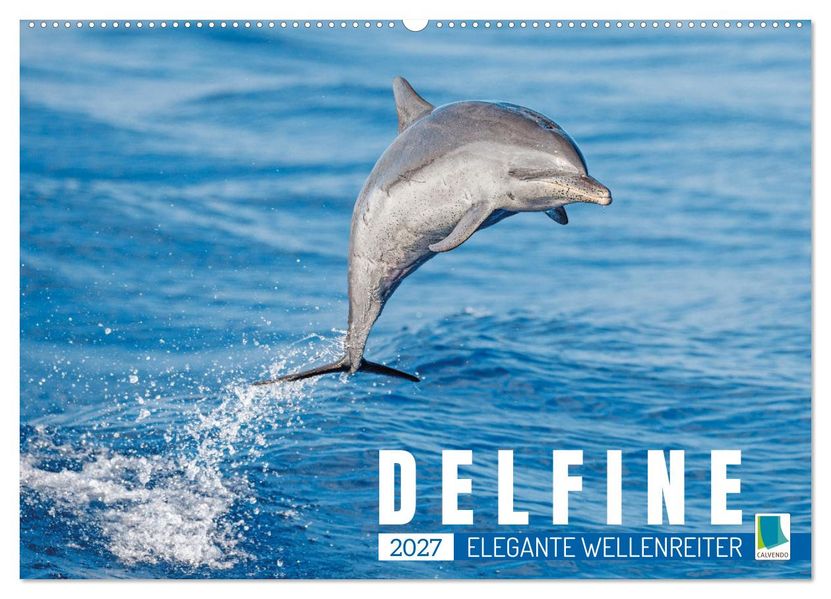 Delfine: Elegante Wellenreiter (Wandkalender 2027 DIN A2 quer) CALVENDO Monatskalender