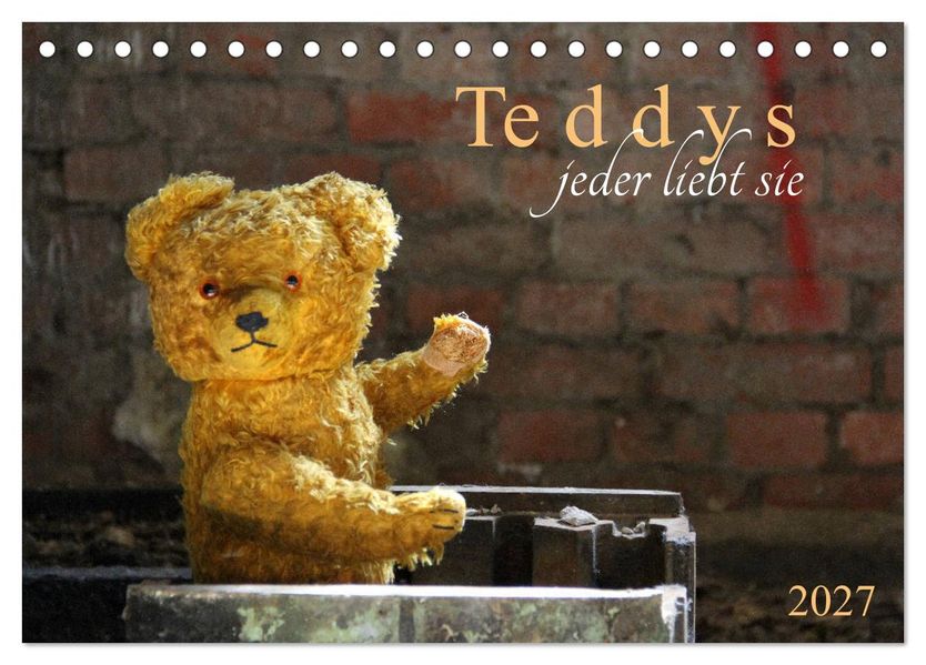 Teddys...jeder liebt sie (Tischkalender 2027 DIN A5 quer) CALVENDO Monatskalender