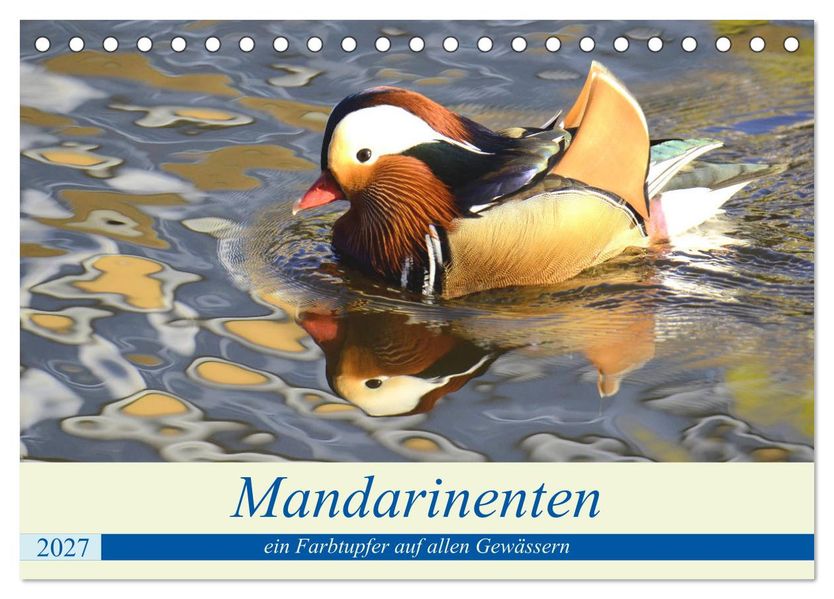 Mandarinenten ein Farbtupfer auf allen Gewässern. (Tischkalender 2027 DIN A5 quer) CALVENDO Monatskalender