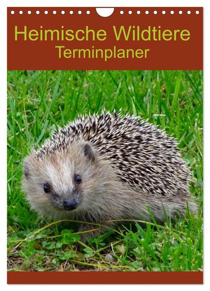 Heimische Wildtiere Terminplaner (Wandkalender 2027 DIN A4 hoch) CALVENDO Monatskalender