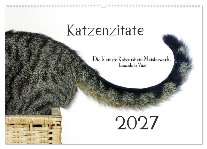 Katzenzitate 2027 (Wandkalender 2027 DIN A2 quer) CALVENDO Monatskalender
