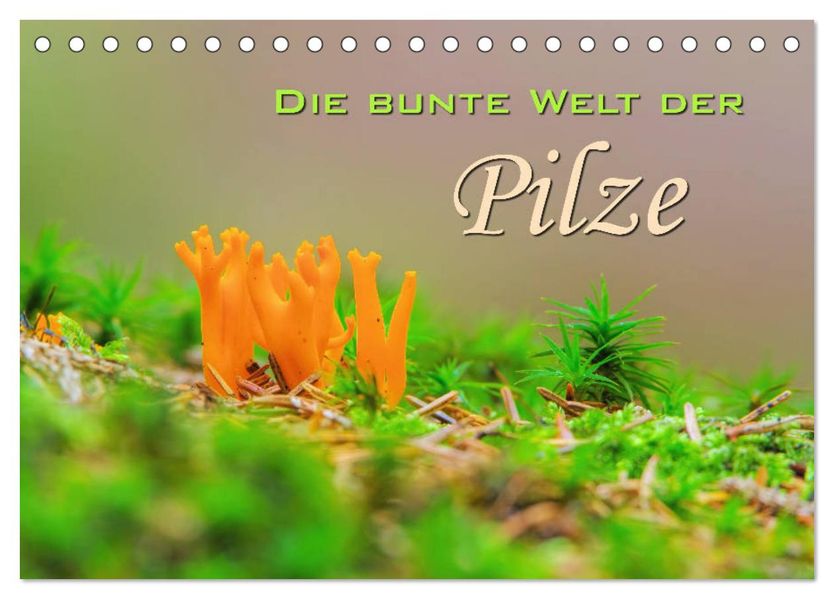 Die bunte Welt der Pilze (Tischkalender 2027 DIN A5 quer) CALVENDO Monatskalender
