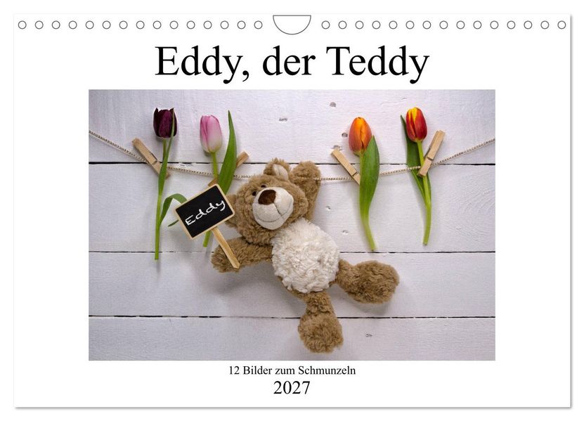 Eddy der Teddy - 12 Bilder zum Schmunzeln (Wandkalender 2027 DIN A4 quer) CALVENDO Monatskalender