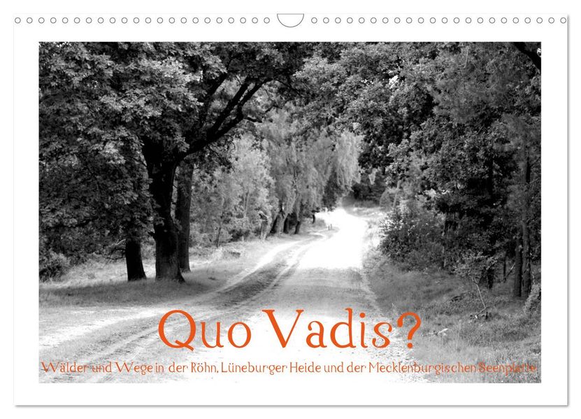 Quo Vadis? Wälder und Wege in der Röhn Lüneburger Heide und der Mecklenburgischen Seenplatte (Wandkalender 2027 DIN A3 quer) CALVENDO Monatskalender