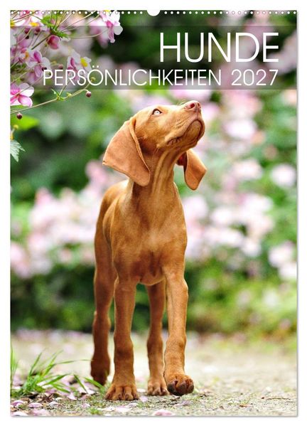 Hundepersönlichkeiten (Wandkalender 2027 DIN A2 hoch) CALVENDO Monatskalender