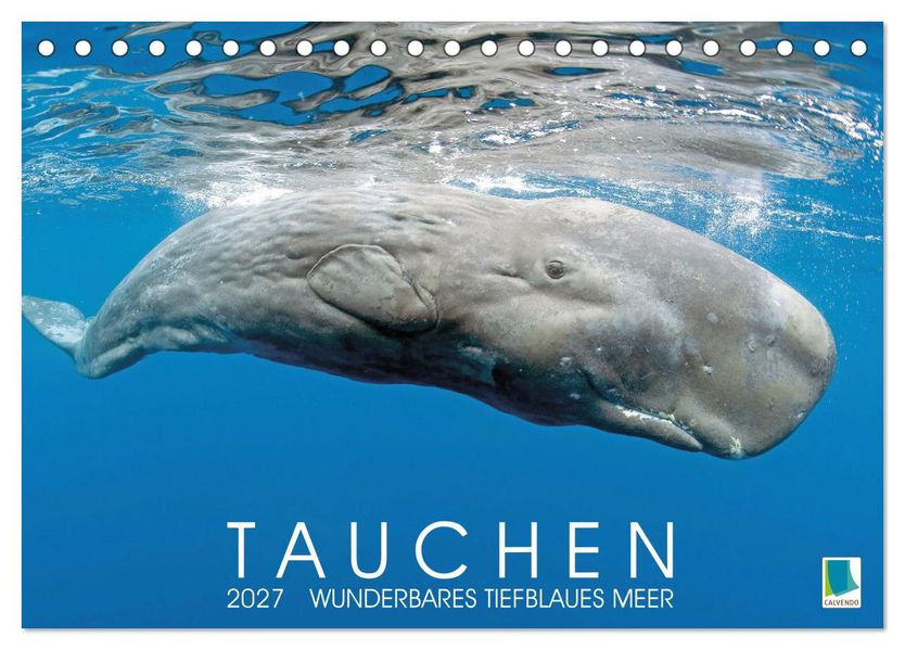 Tauchen: Wunderbares tiefblaues Meer (Tischkalender 2027 DIN A5 quer) CALVENDO Monatskalender