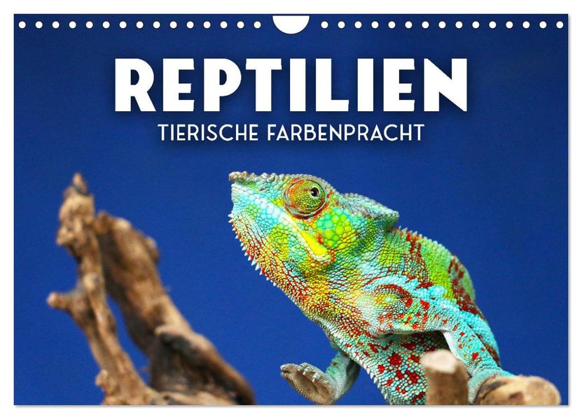 Reptilien - Tierische Farbenpracht (Wandkalender 2027 DIN A4 quer) CALVENDO Monatskalender